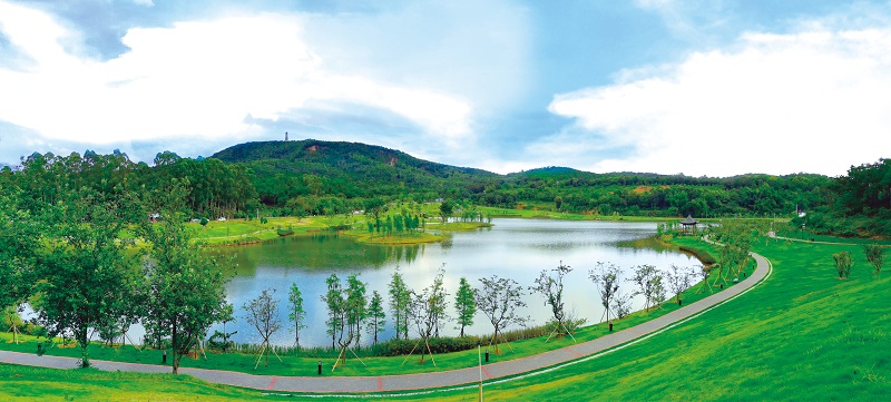 西宁湖.jpg