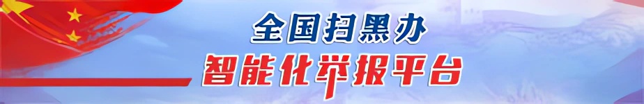 全国扫黑办