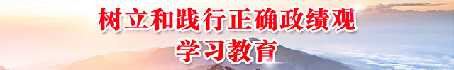 树立和践行正确政绩观学习教育